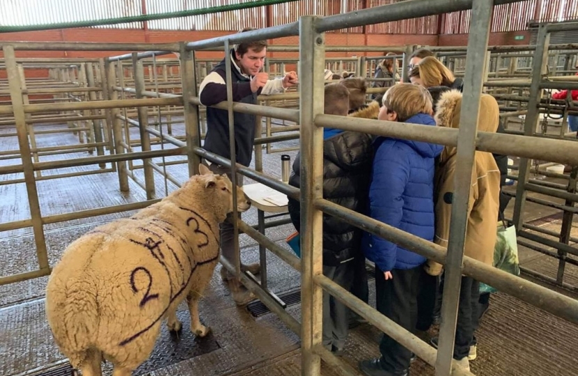 Louth Young Farmers hold a successful day of school workshops