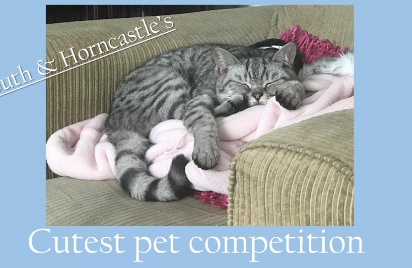 Victoria Atkins launches competition to find Louth & Horncastle's cutest pet