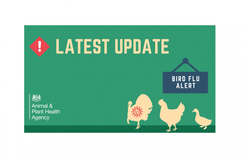 Bird Flu info